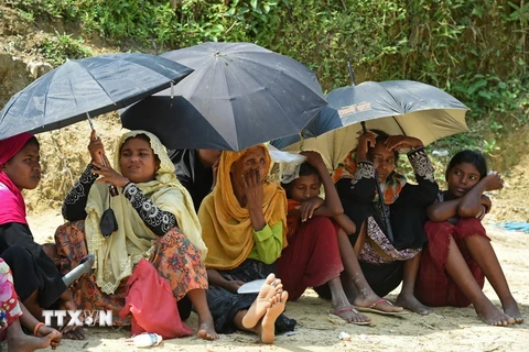Người tị nạn Rohingya tại khu trại tạm Kutupalong ở Ukhia, Bangladesh ngày 25/10, sau khi sơ tán khỏi bang Rakhine của Myanmar. (Nguồn: AFP/TTXVN)