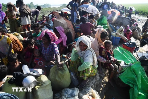 Người Rohingya tới Palongkhali, Bangladesh ngày 3/11 sau khi rời bỏ nhà cửa tránh xung đột ở Myanmar. (Nguồn: AFP/TTXVN)