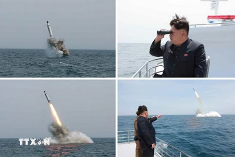 Nhà lãnh đạo Triều Tiên Kim Jong-Un theo dõi một vụ phóng thử tên lửa từ tàu ngầm tháng 5/2015. (Nguồn: Getty Images/TTXVN)