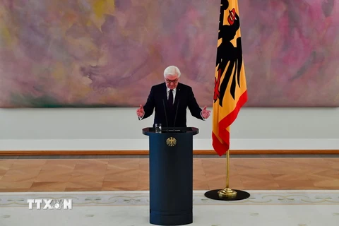 Tổng thống Đức Frank-Walter Steinmeier. (Nguồn: AFP/TTXVN)
