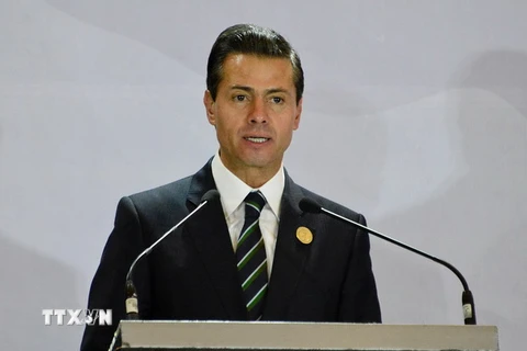 Tổng thống Mexico Enrique Pena Nieto. (Nguồn: AFP/TTXVN)