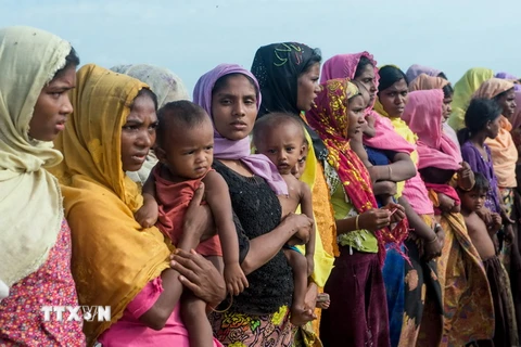 Người tị nạn Rohingya chờ nhận thực phẩm cứu trợ tại Ukhia, Bangladesh ngày 14/11/2017. (Nguồn: AFP/TTXVN) 