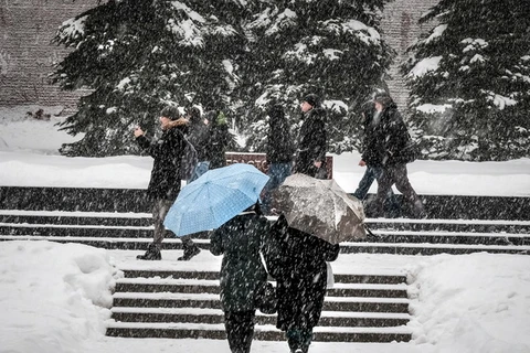 Tuyết rơi dày đặc tại Moskva, Nga ngày 3/2. (Nguồn: AFP/TTXVN)