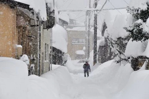 Tuyết bao phủ dày đặc tại Fukui, Nhật Bản ngày 6/2. (Nguồn: Kyodo/TTXVN)