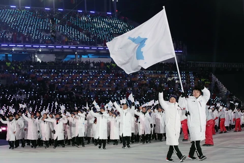 Màn pháo hoa rực rỡ tại lễ khai mạc Olympic PyeongChang 2018. (Nguồn: THX/TTXVN)