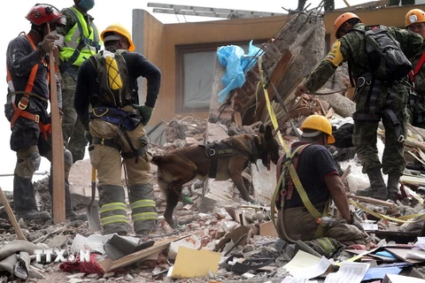 Lực lượng cứu hộ tìm kiếm người mất tích sau trận động đất ở Mexico City, Mexico ngày 25/9/2017. (Nguồn: THX/TTXVN)