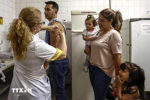 Tiêm phòng sốt vàng da cho người dân tại Sao Paolo, Brazil. (Nguồn: AFP/TTXVN)