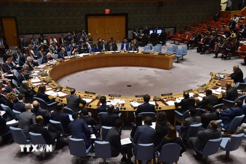 Toàn cảnh cuộc họp của Hội đồng Bảo an Liên hợp quốc ngày 14/4. (Nguồn: AFP/TTXVN)