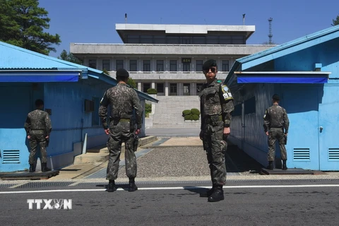 Binh sỹ Hàn Quốc gác tại khu vực phi quân sự ở làng đình chiến Panmunjom giữa hai miền Triều Tiên ngày 11/4. (Nguồn: AFP/TTXVN) 