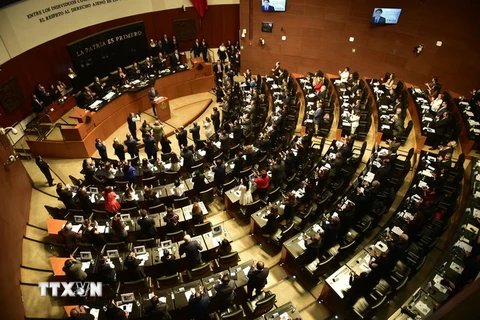 Toàn cảnh một phiên họp Thượng viện Mexico tại Mexico City. (Nguồn: AFP/TTXVN)