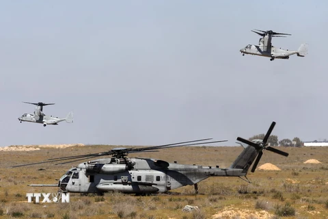 Trực thăng CH-53E Super Stallion (giữa) của quân đội Mỹ. (Nguồn: AFP/TTXVN)