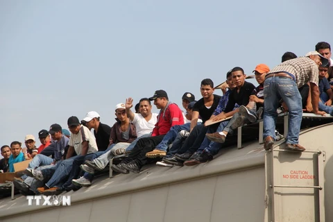 Người di cư Trung Mỹ tới bang Chiapas, Mexico để tìm đường sang Mỹ ngày 16/7/2014. (Nguồn: AFP/TXTVN)
