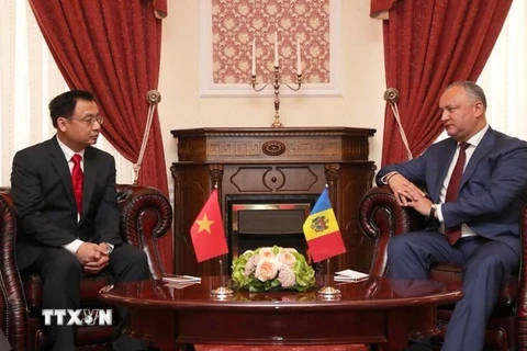 Đại sứ Việt Nam tại Ukraine, kiêm nhiệm Moldova Nguyễn Anh Tuấn tiếp kiến Tổng thống Moldova Igor Dodon tại buổi trình Ủy nhiệm thư. (Ảnh: Dương Trí/TTXVN)