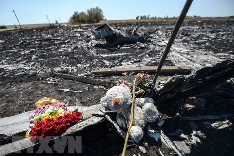 Tưởng niệm nạn nhân vụ rơi máy bay MH17 tại khu vực gần làng Hrabove, Ukraine ngày 26/7/2014. (Nguồn: AFP/TTXVN)