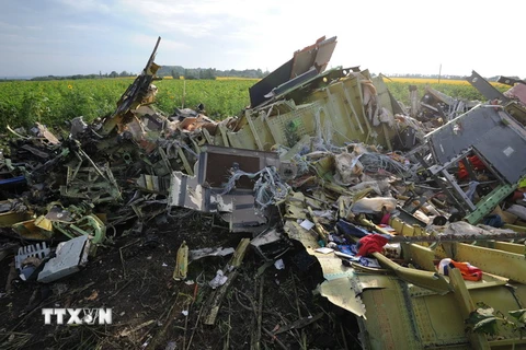Những mảnh vỡ của chiếc máy bay xấu số MH17 ngày 19/7/2014. (Nguồn: AFP/TTXVN)