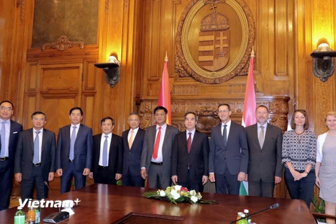 Đoàn đại biểu Việt Nam trong buổi làm việc với Phó Thủ tướng thứ nhất kiêm Bộ trưởng Tài chính Hungary. (Ảnh: Quang Vinh/Vietnam+)