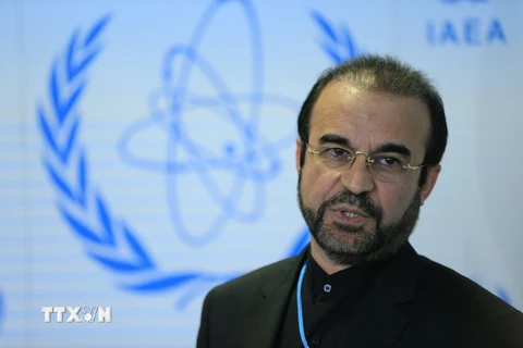 Đại sứ Iran tại Cơ quan Năng lượng Nguyên tử Quốc tế (IAEA), ông Reza Najafi. (Nguồn: AFP/TTXVN)