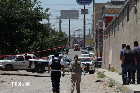 Cảnh sát Mexico điều tra tại hiện trường một vụ nổ súng. (Nguồn: AFP/TTXVN) 