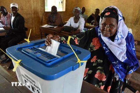 Cử tri Mali bỏ phiếu bầu Tổng thống tại điểm bầu cử ở Bamako ngày 29/7. (Nguồn: AFP/TTXVN)