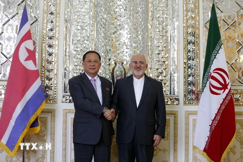 Ngoại trưởng Iran Mohammad Javad Zarif (phải) trong cuộc gặp với người đồng cấp Triều Tiên Ri Yong Ho tại Tehran ngày 7/8. (Nguồn: AFP/TTXVN)