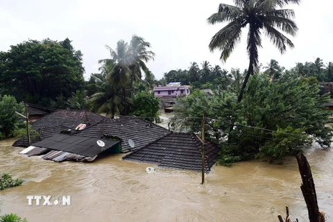 Nhiều ngôi nhà bị nhấn chìm trong nước lũ ở bang Kerala, miền Nam Ấn Độ ngày 9/8. (Nguồn: THX/TTXVN)