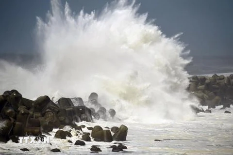 Sóng lớn xô vào bờ trước khi bão Cimaron đổ bộ tại Aki, tỉnh Kochi, miền Tây Nhật Bản ngày 23/8. (Nguồn: Kyodo/TTXVN)