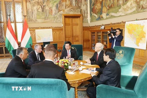 Tổng Bí thư Nguyễn Phú Trọng hội đàm riêng với Thủ tướng Hungary Viktor Orbán. (Ảnh: Trí Dũng/TTXVN)
