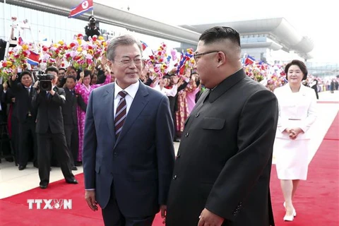 Nhà lãnh đạo Triều Tiên Kim Jong-un (phải, phía trước) tại lễ đón Tổng thống Hàn Quốc Moon Jae-in (trái, phía trước) tại sân bay quốc tế ở Bình Nhưỡng ngày 18/9. (Nguồn: YONHAP/TTXVN)