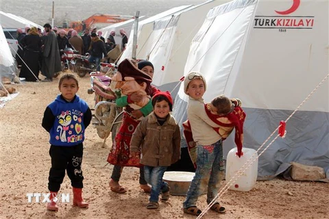 Trẻ em Syria sơ tán từ tỉnh Idlib và Aleppo tới một trại tị nạn ở Bab al-Hawa gần biên giới Syria-Thổ Nhĩ Kỳ. (Nguồn: AFP/TTXVN)