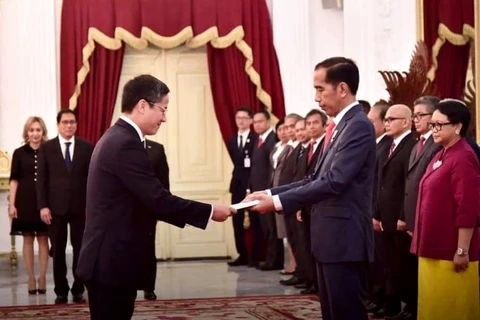 Đại sứ Phạm Vinh Quang trình quốc thư lên Tổng thống Indonesia Joko Widodo. (Nguồn: Đại sứ cung cấp) 
