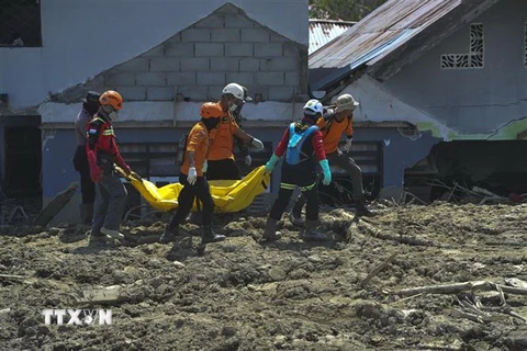 Lực lượng cứu hộ chuyển thi thể nạn nhân thảm họa động đất sóng thần ở Poso, Trung Sulawesi, Indonesia ngày 10/10/2018. (Nguồn: THX/TTXVN)