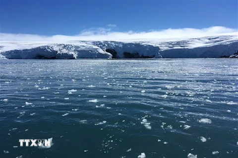 Sông băng Collins, Nam Cực ngày 1/2. (Nguồn: AFP/TTXVN)