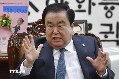 Chủ tịch Quốc hội Hàn Quốc Moon Hee-sang. (Nguồn: Kyodo/TTXVN) 