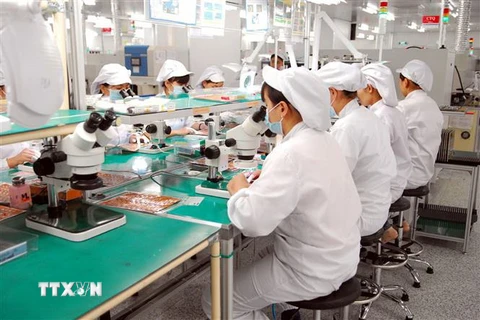 Dây chuyền sản xuất linh kiện điện tử tại Công ty trách nhiệm hữu hạn Synopex Việt Nam (vốn đầu tư của Hàn Quốc), tại Khu công nghiệp Quang Minh (Hà Nội). (Ảnh: Danh Lam/TTXVN) 
