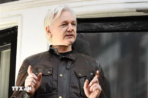 Nhà sáng lập WikiLeaks Julian Assange tại Đại sứ quán Ecuador ở London, Anh ngày 19/5/2017. (Nguồn: AFP/TTXVN) 