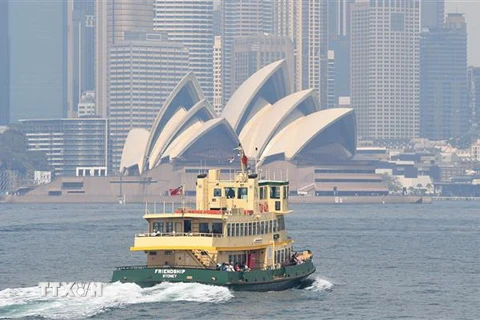 Khói mù bao phủ tại Sydney, Australia ngày 21/10/2016. (Nguồn: AFP/TTXVN) 