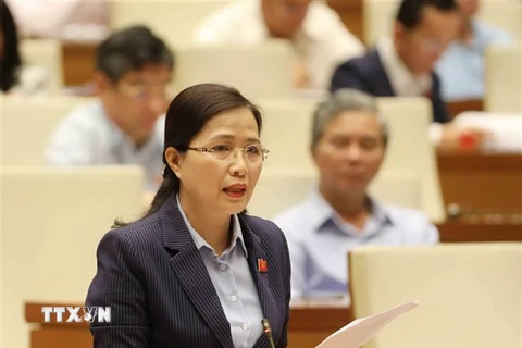 Đại biểu Quốc hội tỉnh Quảng Ninh Đỗ Thị Lan phát biểu trong một phiên họp. (Ảnh: Phương Hoa/TTXVN) 
