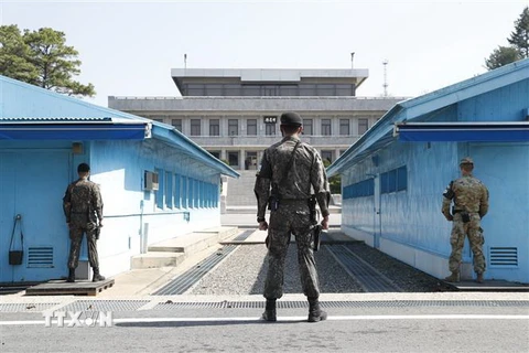 Binh sỹ Hàn Quốc gác tại Khu vực An ninh chung (JSA) thuộc Khu phi quân sự liên Triều ở làng đình chiến Panmunjom ngày 18/4. (Nguồn: EPA/TTXVN) 