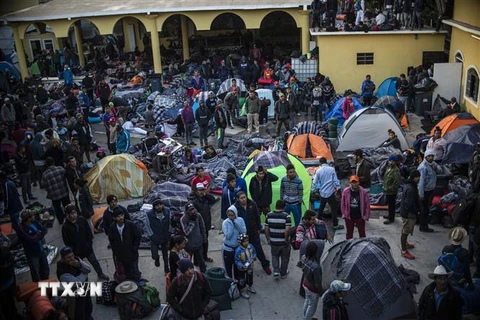 Người di cư Trung Mỹ tại khu lều tạm ở Mexicali, bang Baja California, Mexico, trong hành trình tới Mỹ ngày 18/11/2018. (Nguồn: AFP/TTXVN) 