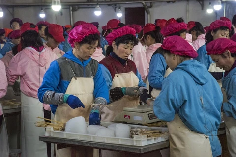 Công nhân Triều Tiên. (Nguồn: hani.co.kr) 