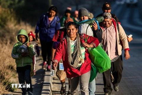 Người di cư từ các nước Trung Mỹ đổ về Tijuana gần biên giới giữa Mexico và Mỹ ngày 15/11. (Nguồn: AFP/TTXVN) 