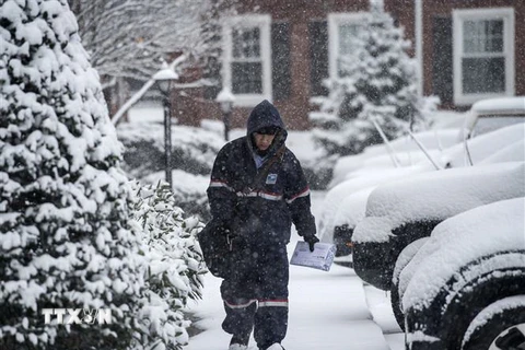 Tuyết phủ dày đặc tại Arlington, Virginia, Mỹ sau trận bão tuyết ngày 21/3/2018. (Nguồn: AFP/TTXVN) 