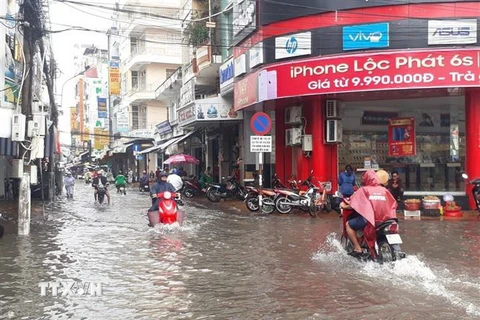Tuyến đường nội ô thành phố Bạc Liêu ngập sâu trong nước. (Ảnh: Huỳnh Sử/TTXVN) 