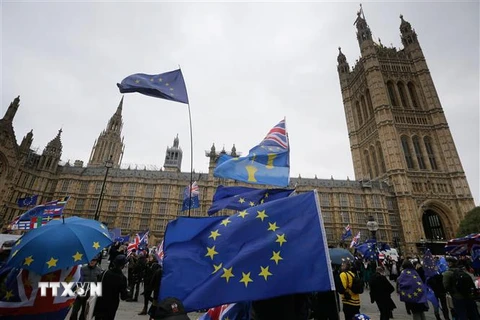 Người dân tuần hành phản đối Brexit bên ngoài tòa nhà Quốc hội Anh ở thủ đô London, ngày 15/1/2019. (Nguồn: THX/TTXVN) 