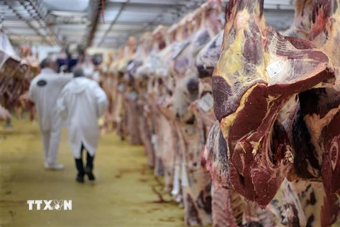 Thịt bò được bày bán tại một chợ thực phẩm quốc tế ở Rungis, Pháp. (Nguồn: AFP/TTXVN) 