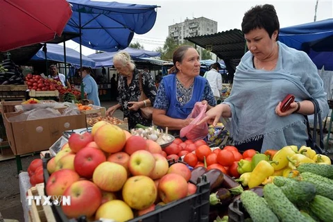 Người dân mua rau quả tại chợ ở thủ đô Moskva, Nga. (Nguồn: AFP/TTXVN) 