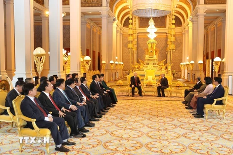 Toàn cảnh Tổng Bí thư, Chủ tịch nước Nguyễn Phú Trọng hội đàm với Quốc vương Campuchia Norodom Sihamoni. (Ảnh: Trí Dũng/TTXVN) 