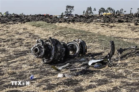 Một bộ phận của máy bay Boeing 737 MAX thuộc Hãng hàng không Ethiopian Airlines tại hiện trường vụ tai nạn gần thủ đô Addis Ababa, ngày 11/3/2019. (Nguồn: AFP/TTXVN) 