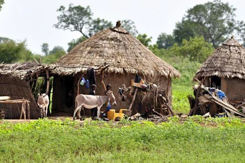 Ngôi nhà của người Fulani. (Nguồn: Getty Images) 