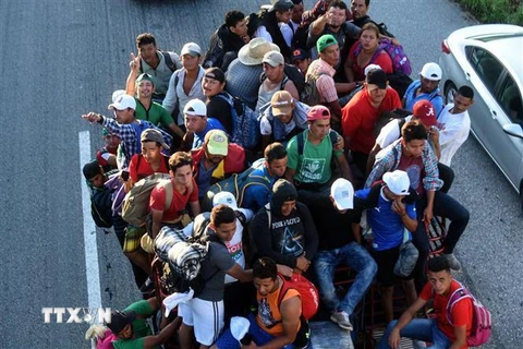 Người di cư Honduras bắt xe tải ở Mapastepec tới bang Pijijiapan Chiapas, Mexico, chờ cơ hội sang Mỹ ngày 25/10/2018. (Nguồn: AFP/TTXVN) 
